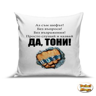 Да, Тони! (boss)